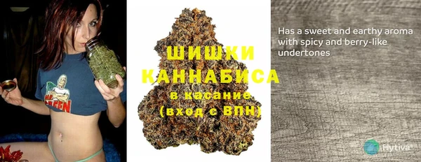 ECSTASY Медвежьегорск