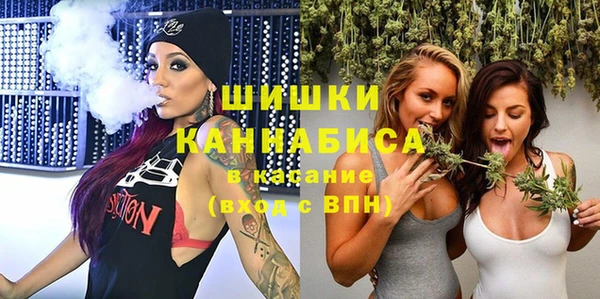 spice Михайлов