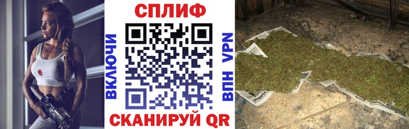 МАРИХУАНА Amnesia Урень